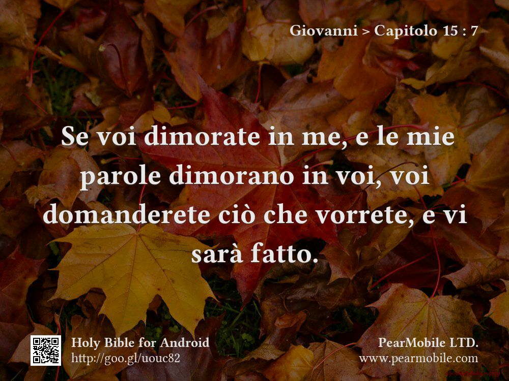 Giovanni, Capitolo 15:7